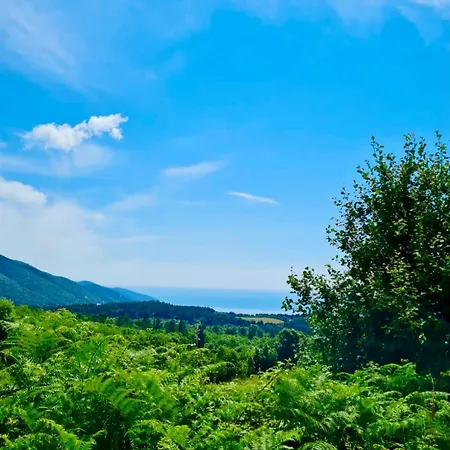 Beautiful With A Wonderful Sea View